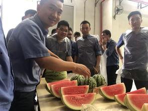 家庭聚会吃瓜群众,吃瓜群众眼中的欢乐时光