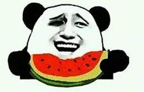 吃瓜群众改名字叫什么,一场网络文化的演变之旅