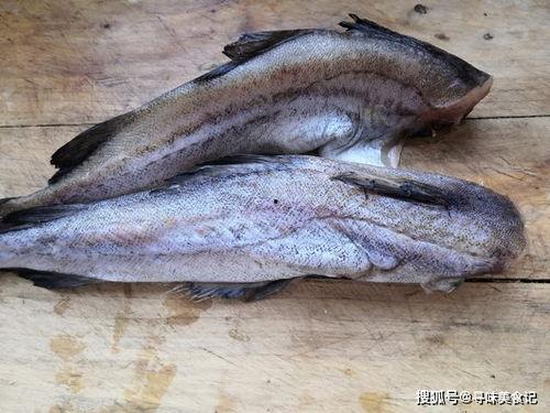 吃瓜群众鱼先生社区,吃瓜群众的热议焦点