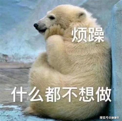 顽皮的吃瓜群众图片高清,捕捉夏日街头欢乐瞬间