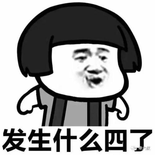 撒狗粮时吃瓜群众文案,揭秘撒狗粮背后的甜蜜故事