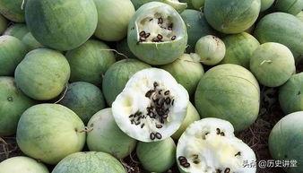 嗑瓜籽的吃瓜群众,揭秘网络热议背后的众生相