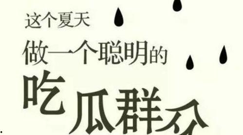 吃瓜群众如何取名字,揭秘“吃瓜群众”取名背后的趣味与智慧