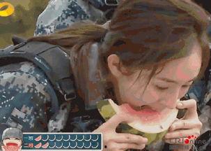 吃瓜群众秒变瓜农,从吃瓜群众到瓜农的华丽转身