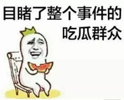 吃瓜群众我的女神小说