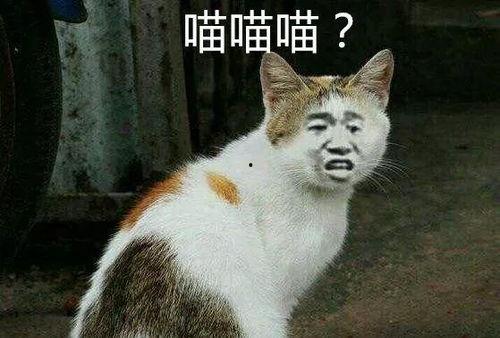 吃瓜群众喵喵喵微博