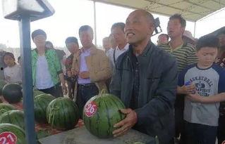 内黄吃瓜群众一起来吃瓜,全民共享瓜界盛宴