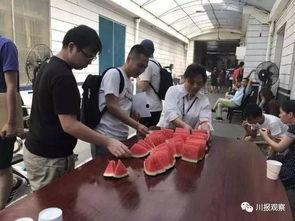 大量吃瓜群众视频图片,海量吃瓜群众视频图片盘点