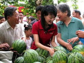 大量吃瓜群众视频图片,海量吃瓜群众视频图片盘点