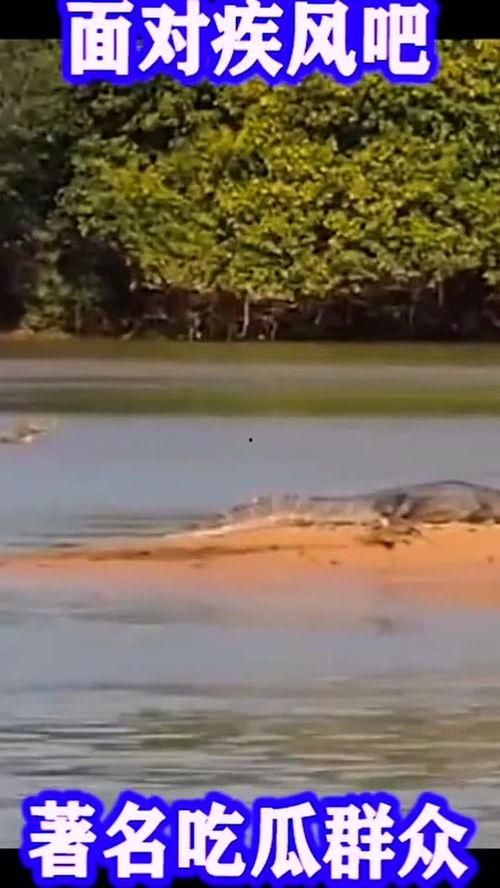 对面吃瓜群众怎么面对